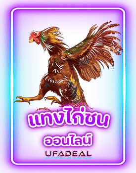 แทงไก่ชน